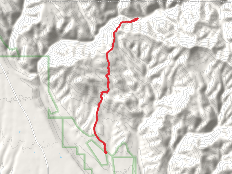 Mogollon Creek Trail Out and Back