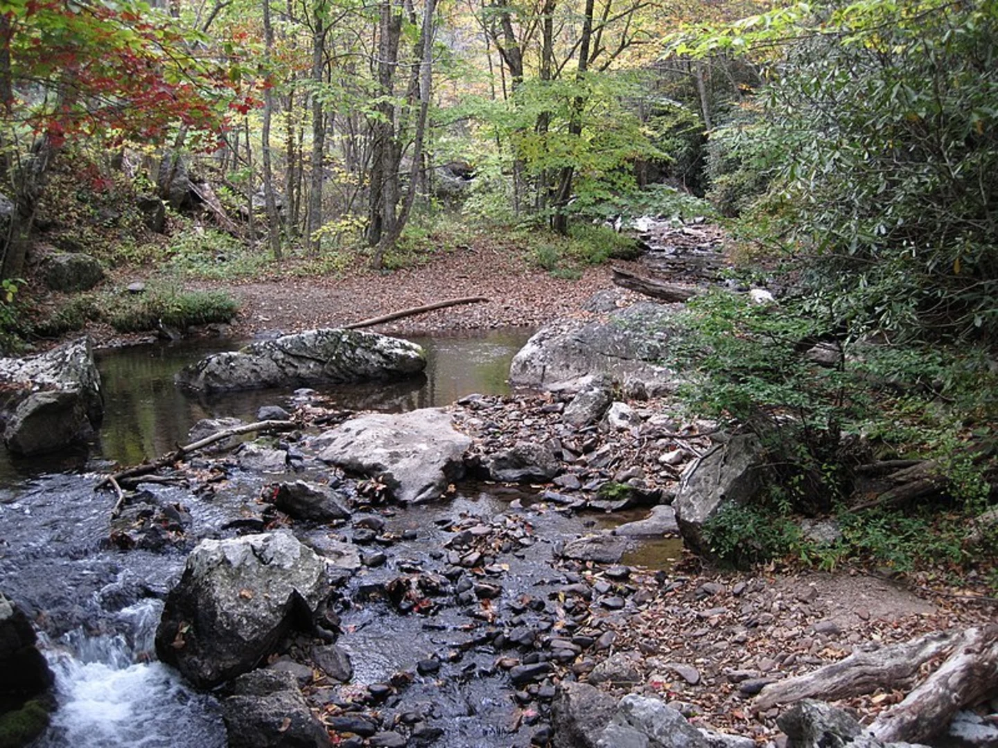 An image depicting the trail Jackie Street Trail and its surrounding area.