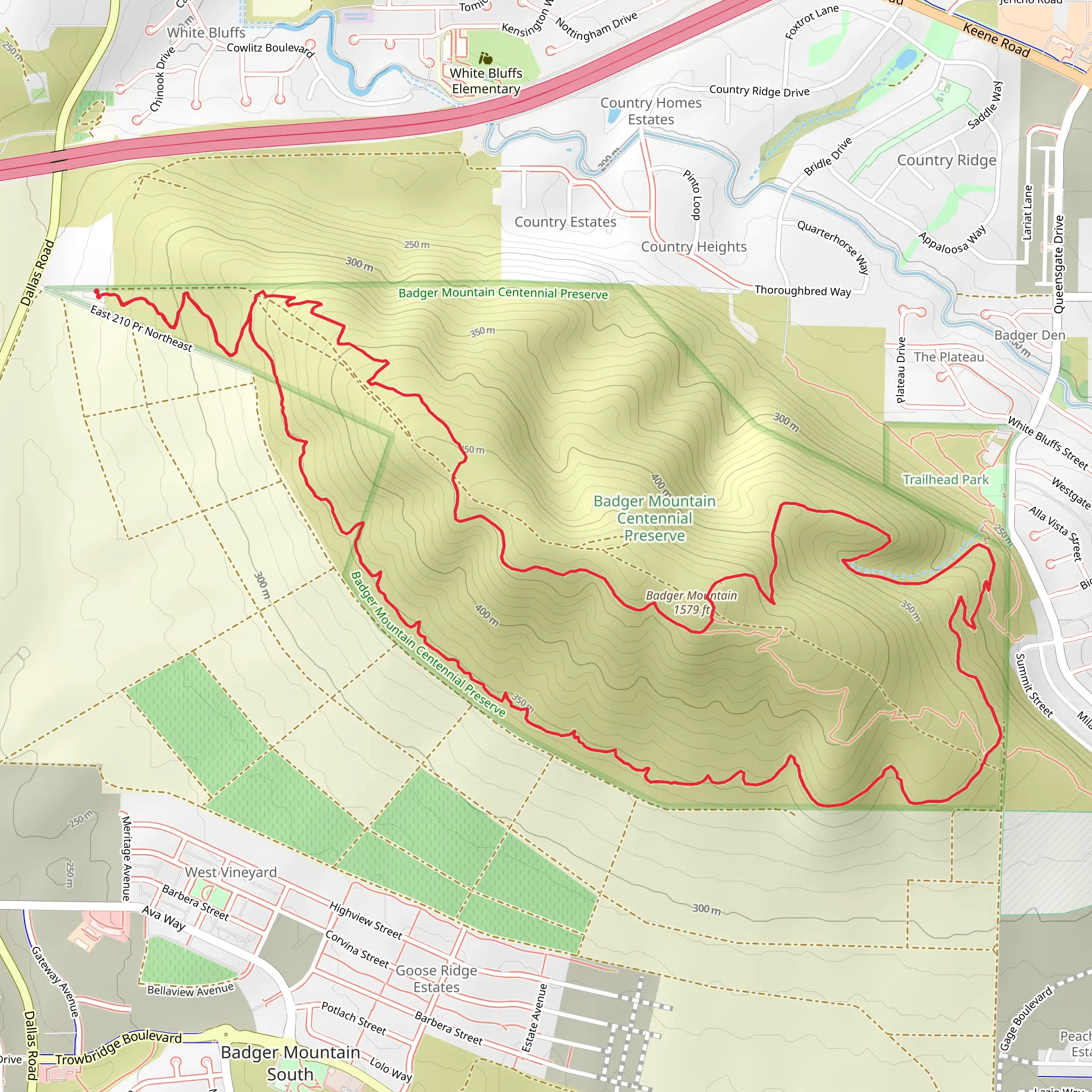 Badger Mountain via Skyline Trail and Langdon Trail mobile static map