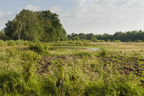 De Vrijenberg and De Groote Modderkolk Loop