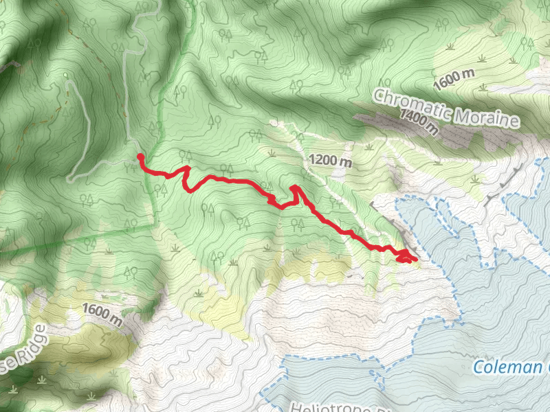 Glacier View and Heliotrope Ridge Trail