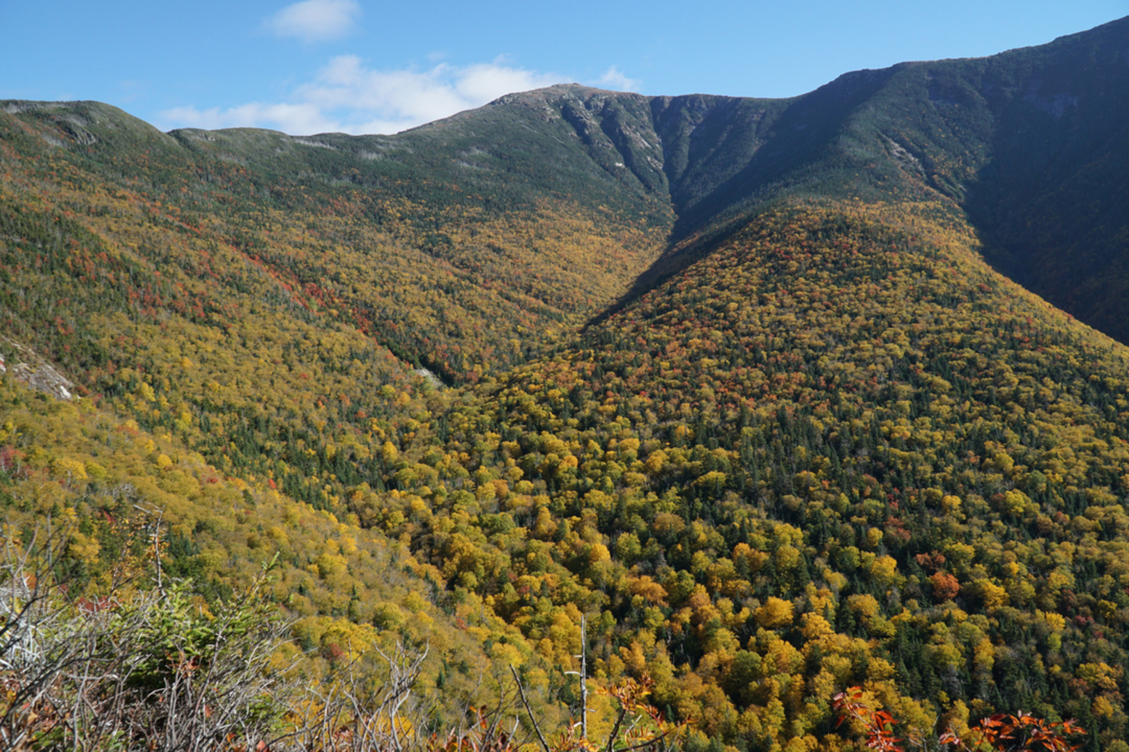 An image depicting the trail Little Haystack Mountain and Mount Lafayette Loop via Liberty Spring Trail and its surrounding area.