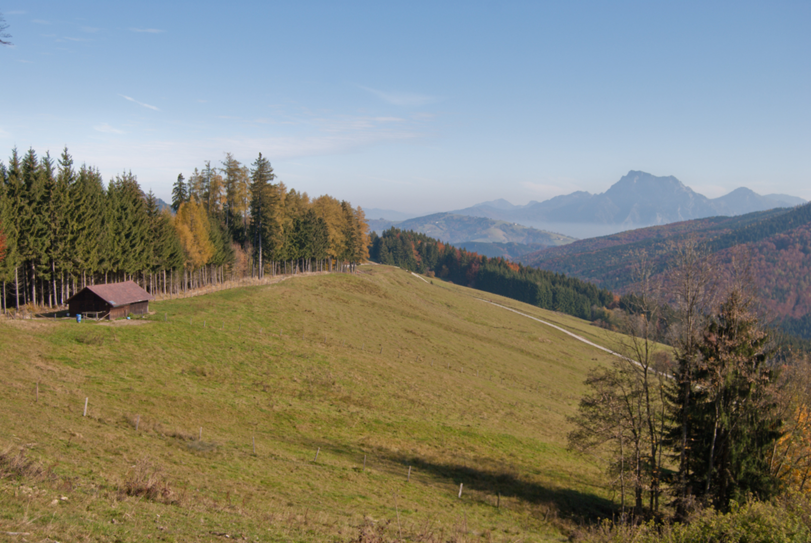 An image depicting the trail Schönbachweg up to the Gahberg and its surrounding area.