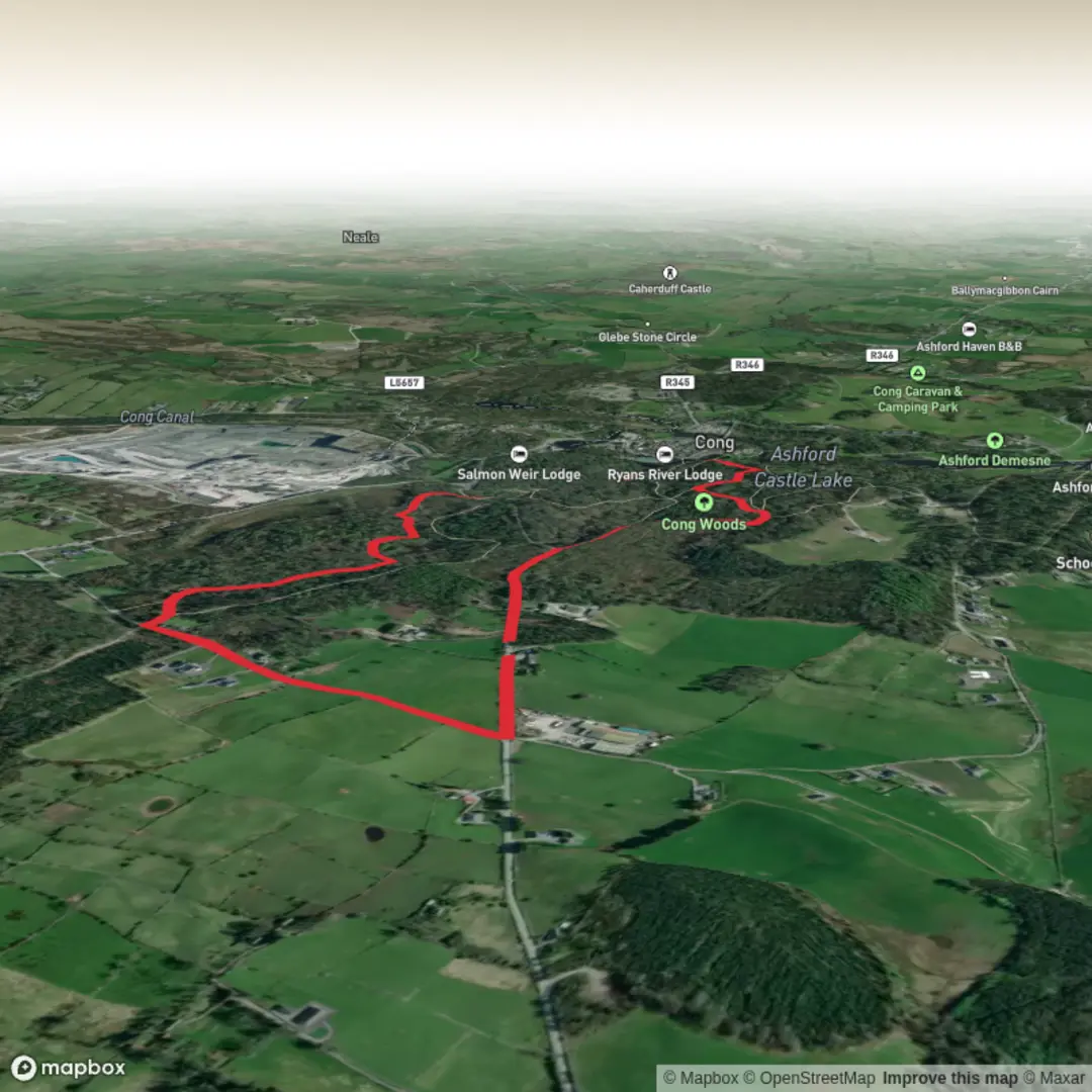An image depicting the trail Cong Woods Hike Loop and its surrounding area.
