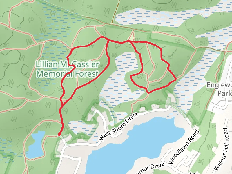 Briar Road Connector and Bog Loop Trail