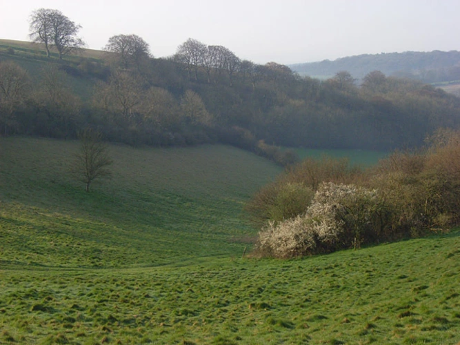 Pilot Hill Walk