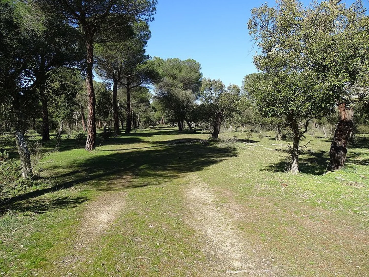 An image depicting the trail Zofraga Trail PR VA 37 and its surrounding area.