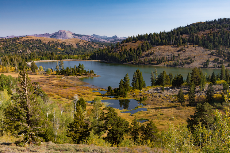 Red Lake Trail