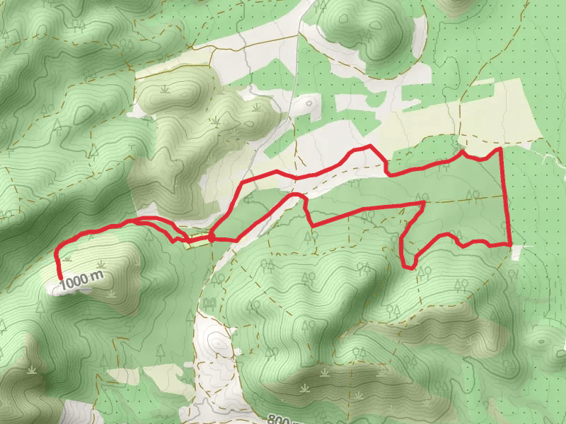 Path of the Lynx PR TO 11
