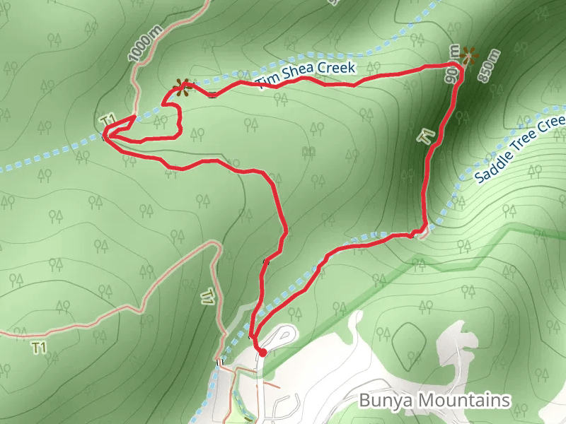 Scenic Circuit Track