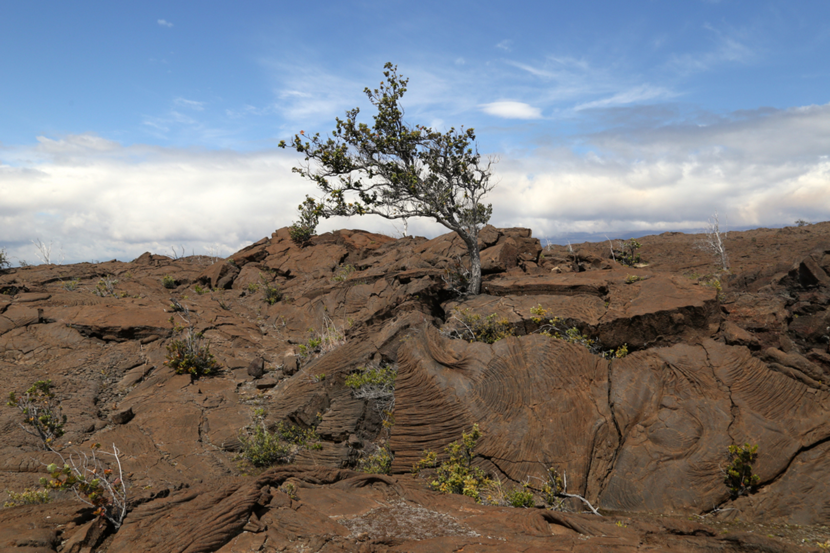 An image depicting the trail Ka'u Desert Trail and its surrounding area.