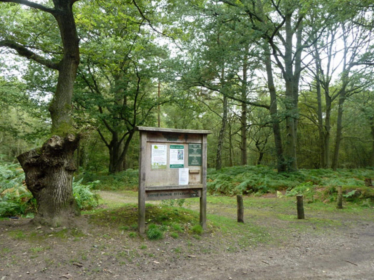 An image depicting the trail Pitch Hill via Greensand Way and its surrounding area.