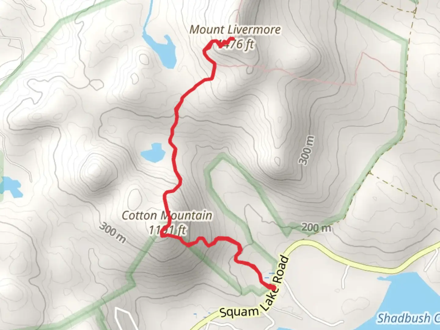 An image depicting the trail Cotton Mountain and Mount Livermore Trail and its surrounding area.