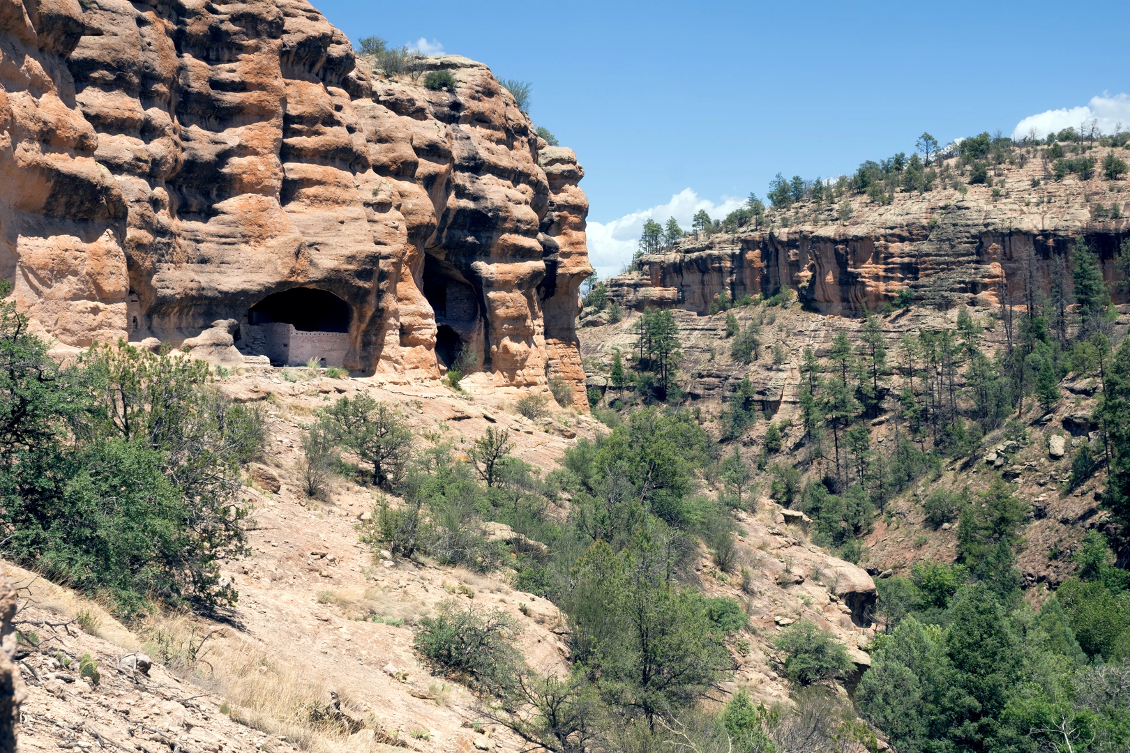 An image depicting the trail Mogollon Baldy Peak Trail and its surrounding area.