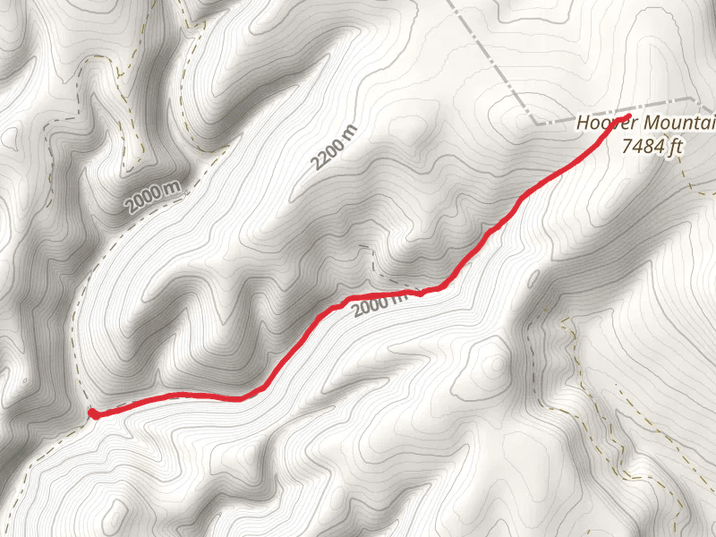East Fork Lion Creek Trail