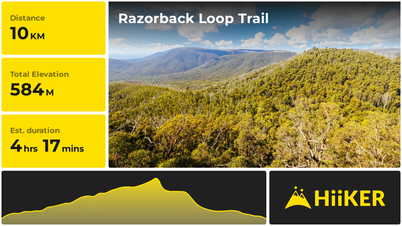 Razorback Loop Trail | Shire of Murrindindi | Victoria