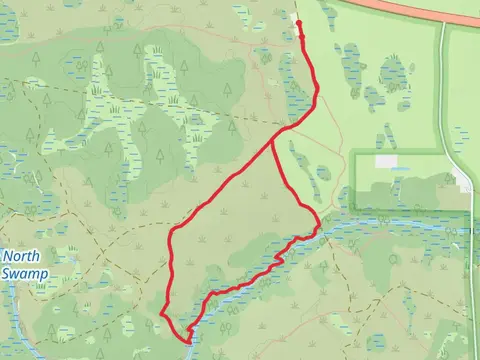 Cathi's Trail and West Branch Crabgrass Creek Loop