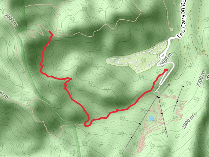 Upper Bristlecone Trail