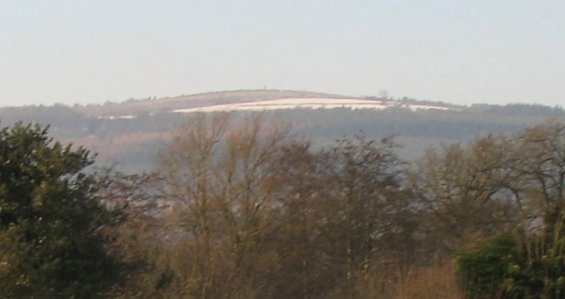 An image depicting the trail Mortimer Forest Loop and its surrounding area.
