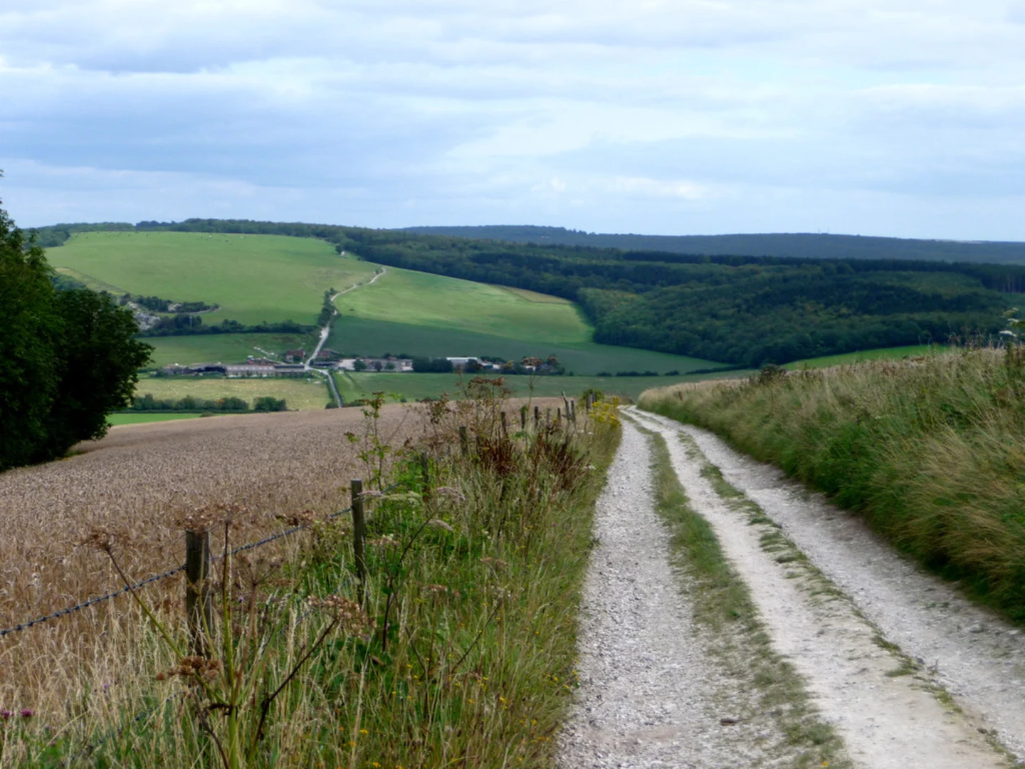 An image depicting the trail Stead Combe and Henley Lane Loop and its surrounding area.