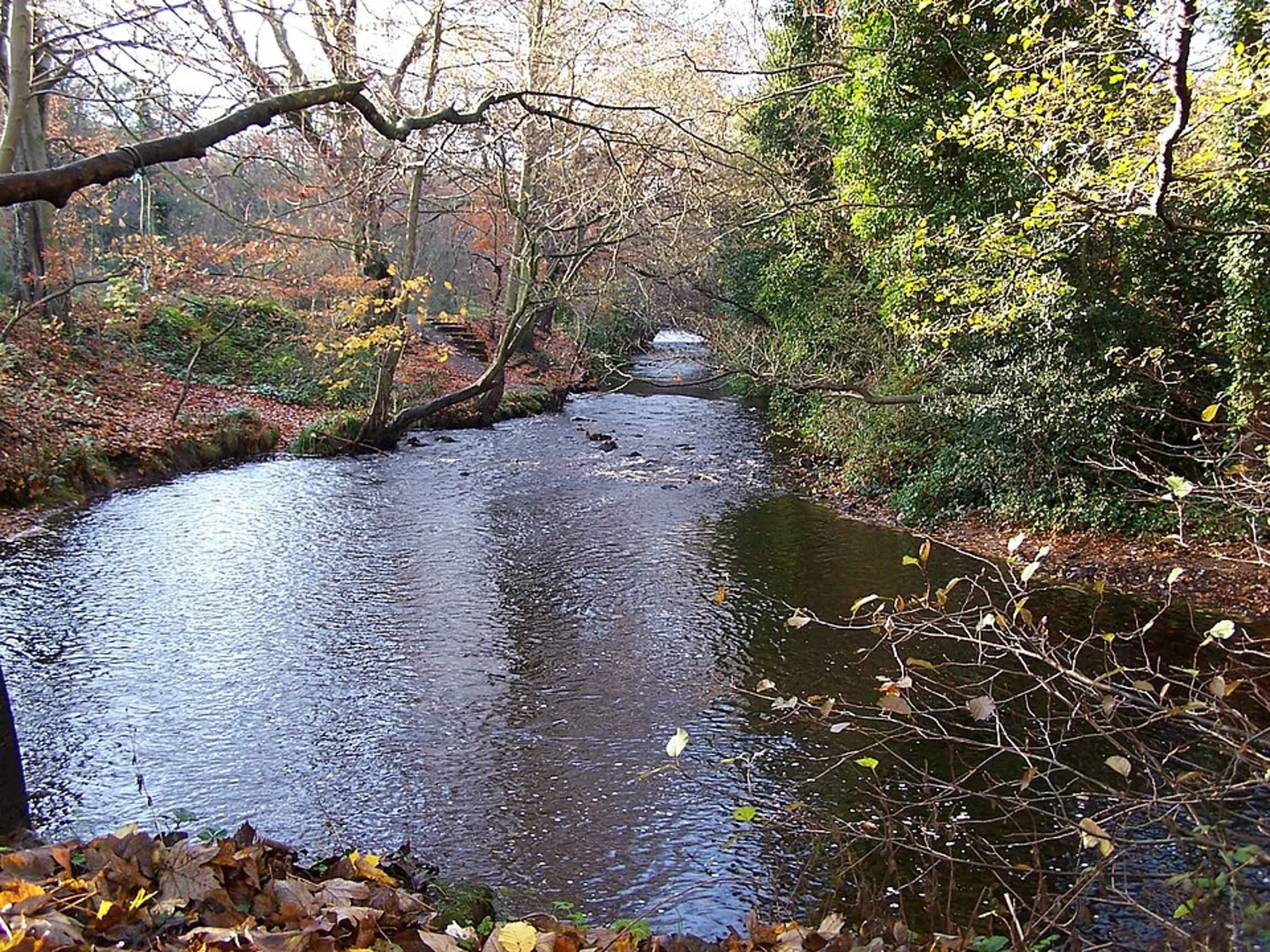 An image depicting the trail Rivelin Park Loop and its surrounding area.