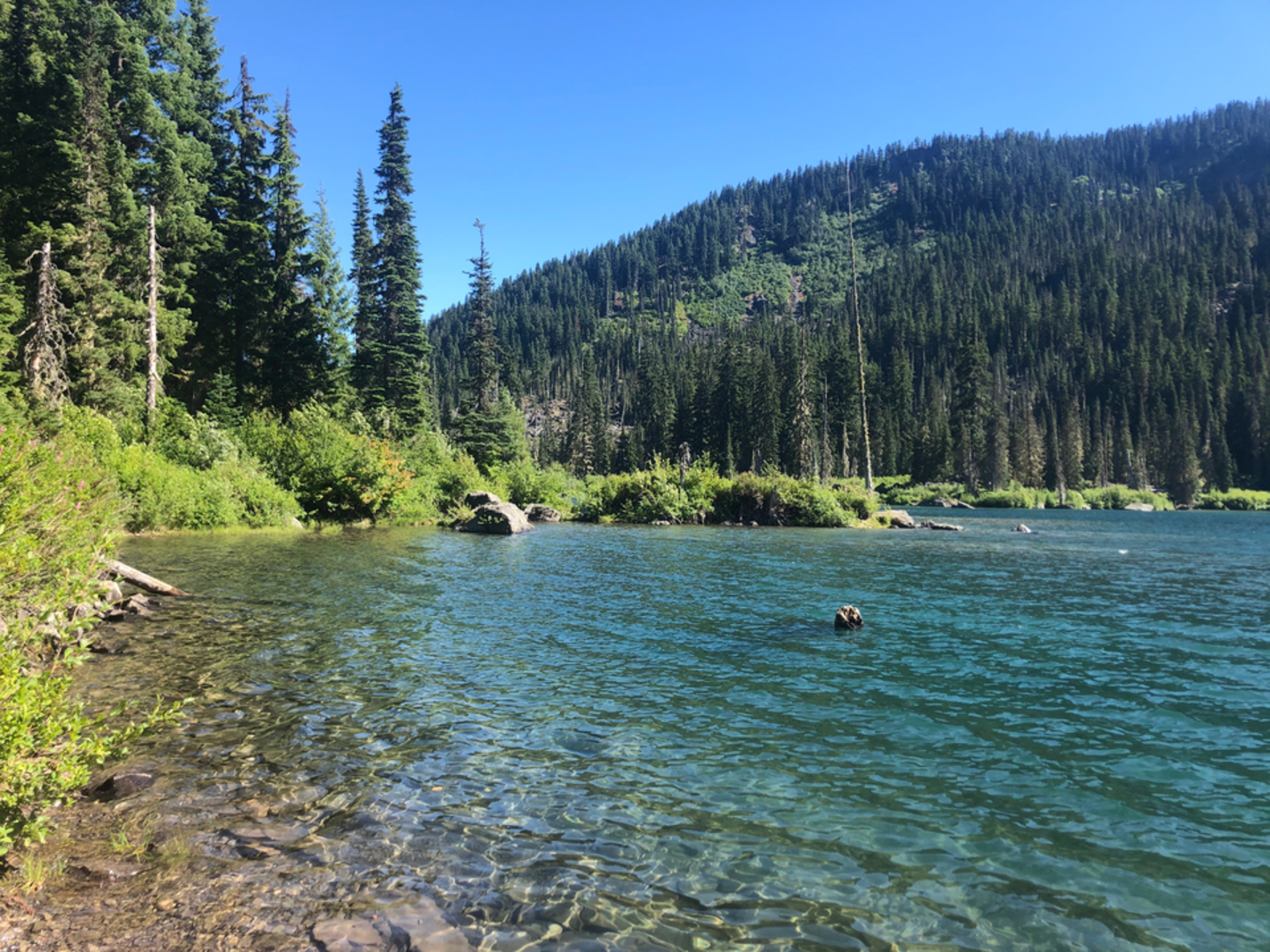 An image depicting the trail Spectacle Lake via Pete Lake Trail and its surrounding area.
