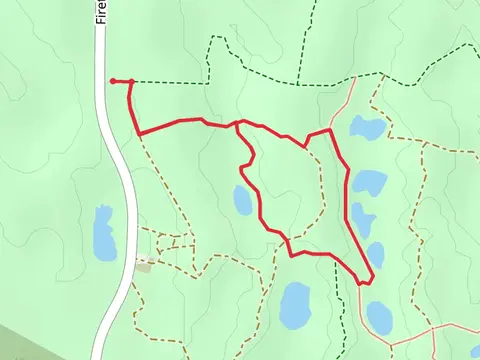 Shortcut Loop from Firetower Road