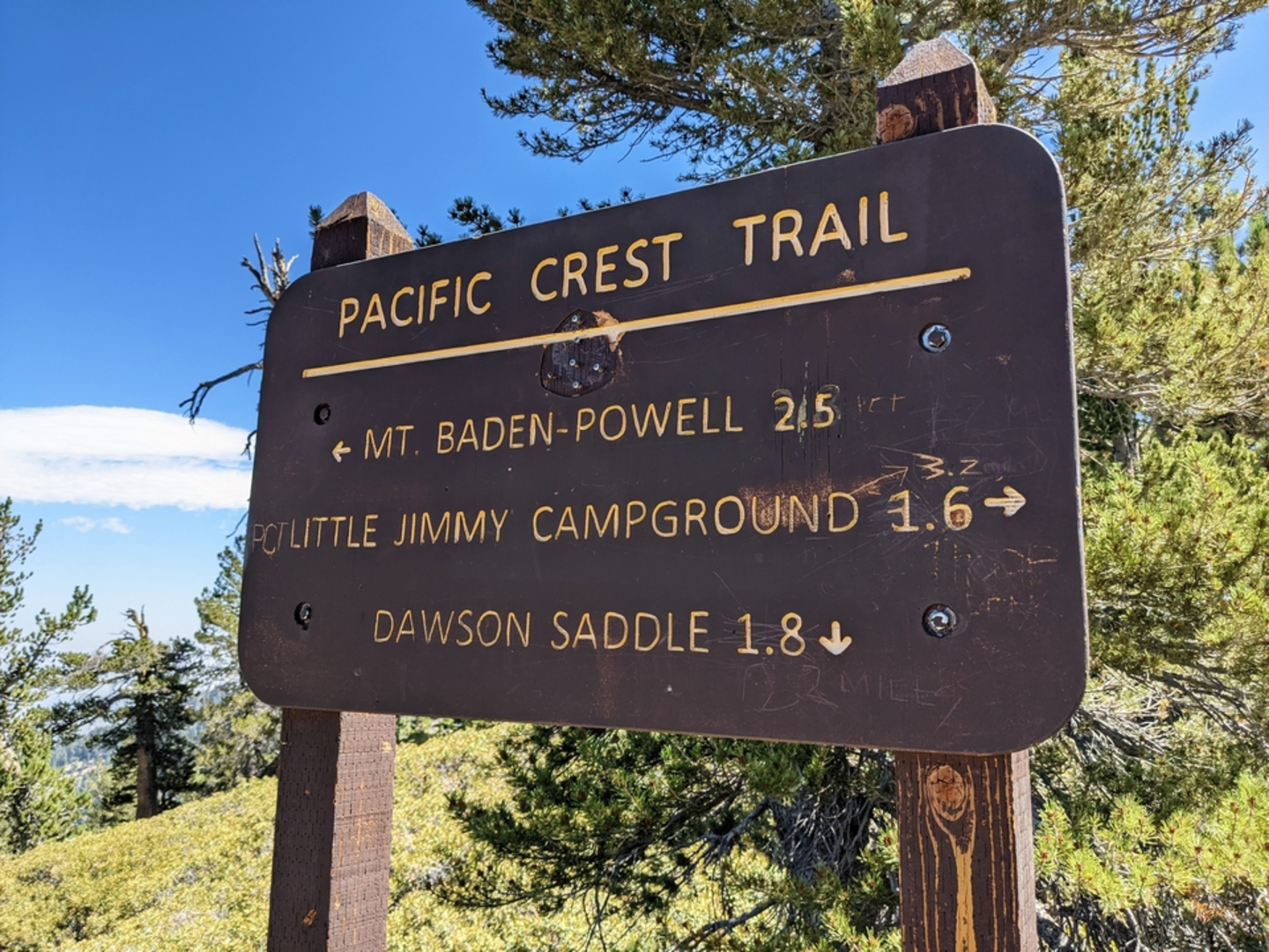 An image depicting the trail Dawson Saddle Trail and its surrounding area.