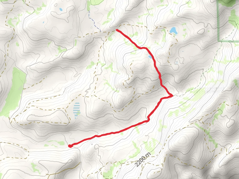 Lyons Creek Trail and Bloodsucker Trail