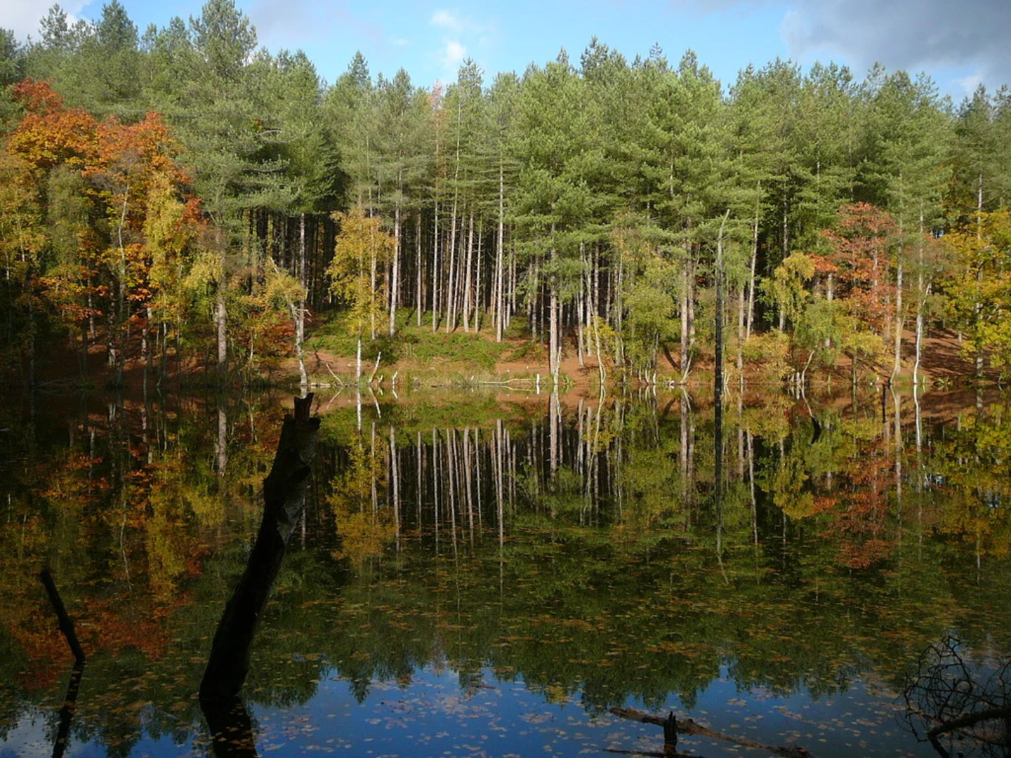 An image depicting the trail Delamere and Oakmere and its surrounding area.