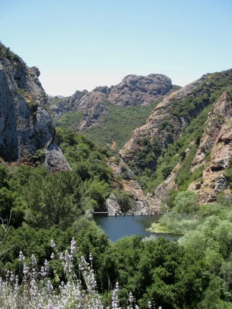 An image depicting the trail Century Lake - Forest - Cage Creek - Lookout Loop Trail and its surrounding area.