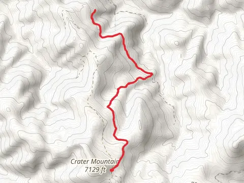 Hogum Creek Trail