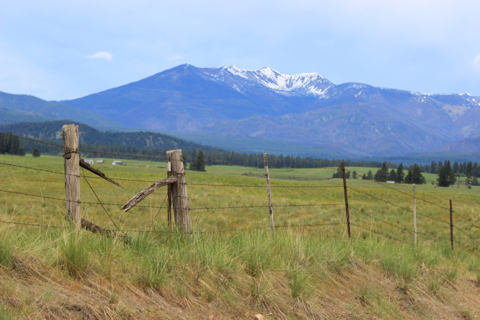 An image depicting the trail Limestone Pass via Monture Creek Trail and its surrounding area.