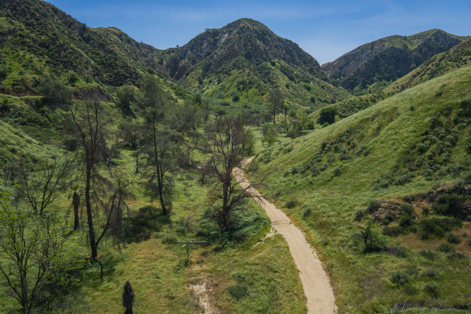 An image depicting the trail Wiley Canyon - Towsley Canyon Loop Trail and its surrounding area.
