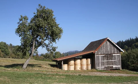 Doernsel Schoellkopfel and Malschbach Zimmerplatz Loop