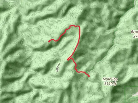 Penitentiary Branch Trail