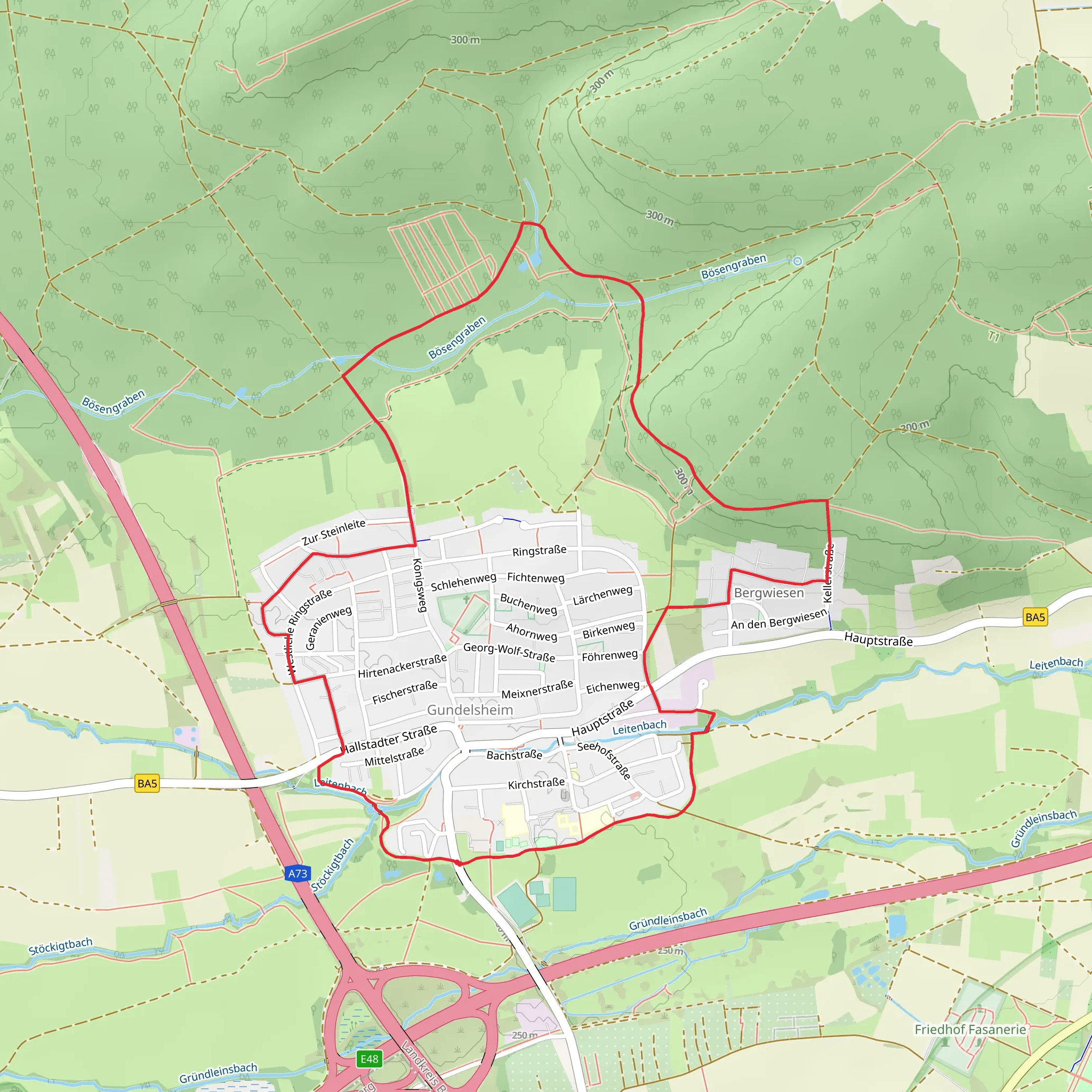 Gundelsheim Loop mobile static map