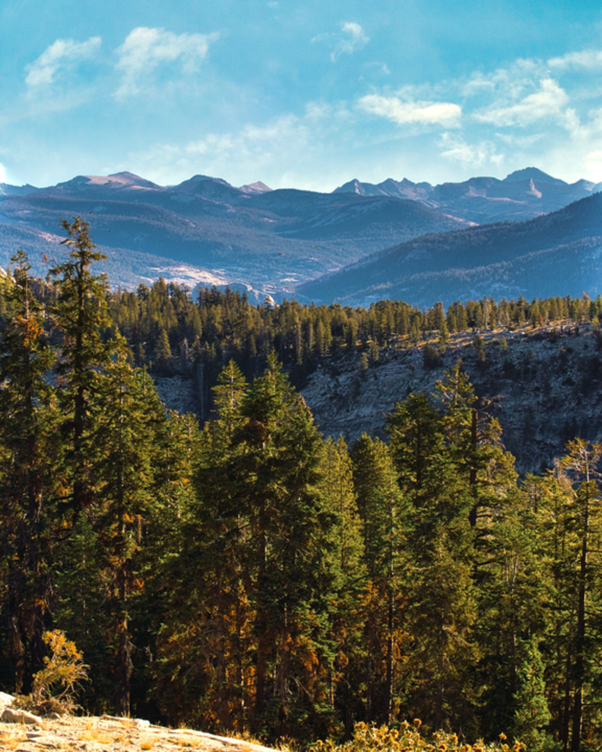 An image depicting the trail Ershim Lake Trail and its surrounding area.