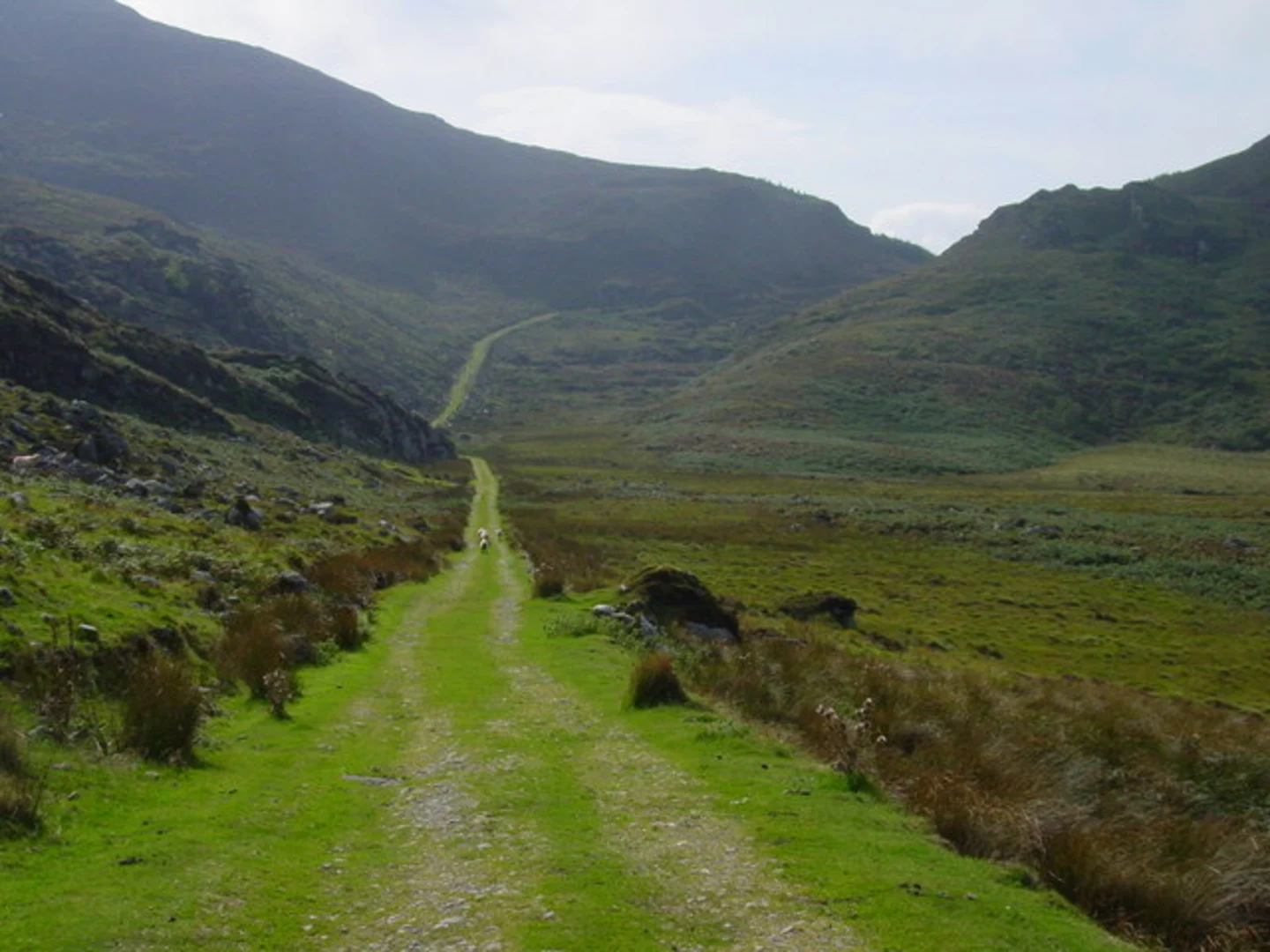 An image depicting the trail The Paps East Walk and its surrounding area.