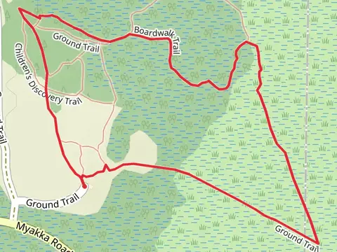 Pine Level - Boardwalk - Ground Loop Trail