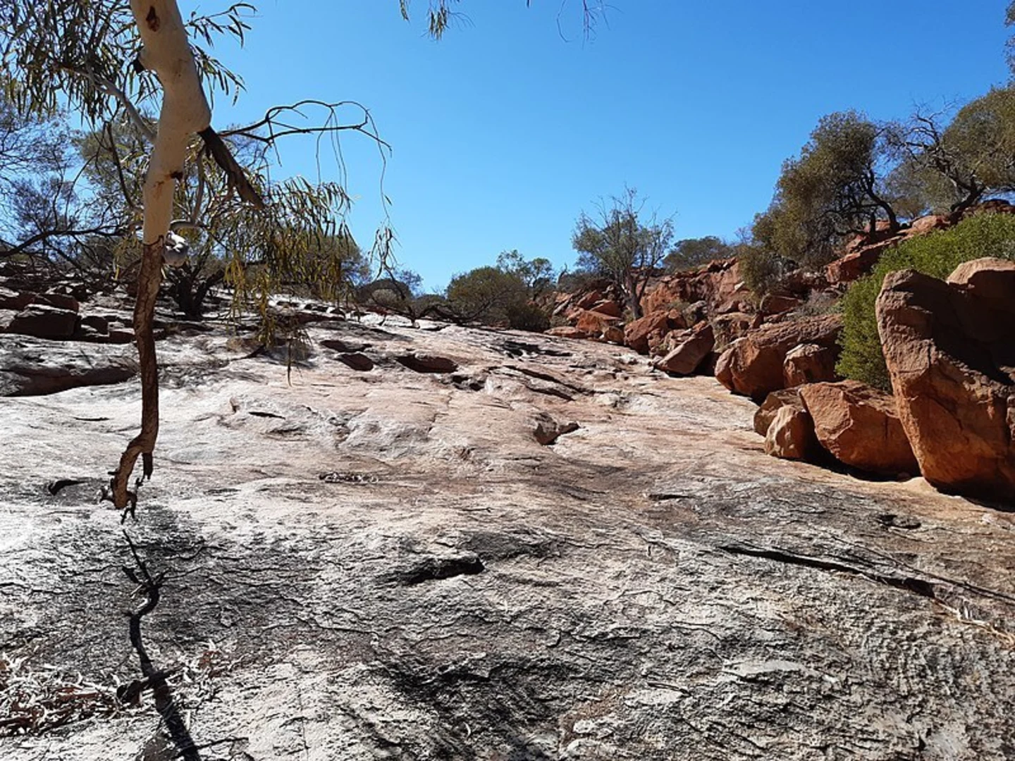 An image depicting the trail Edney's Trail and its surrounding area.