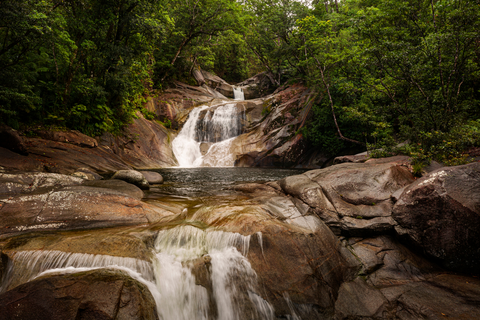 Bartle Frere Trail