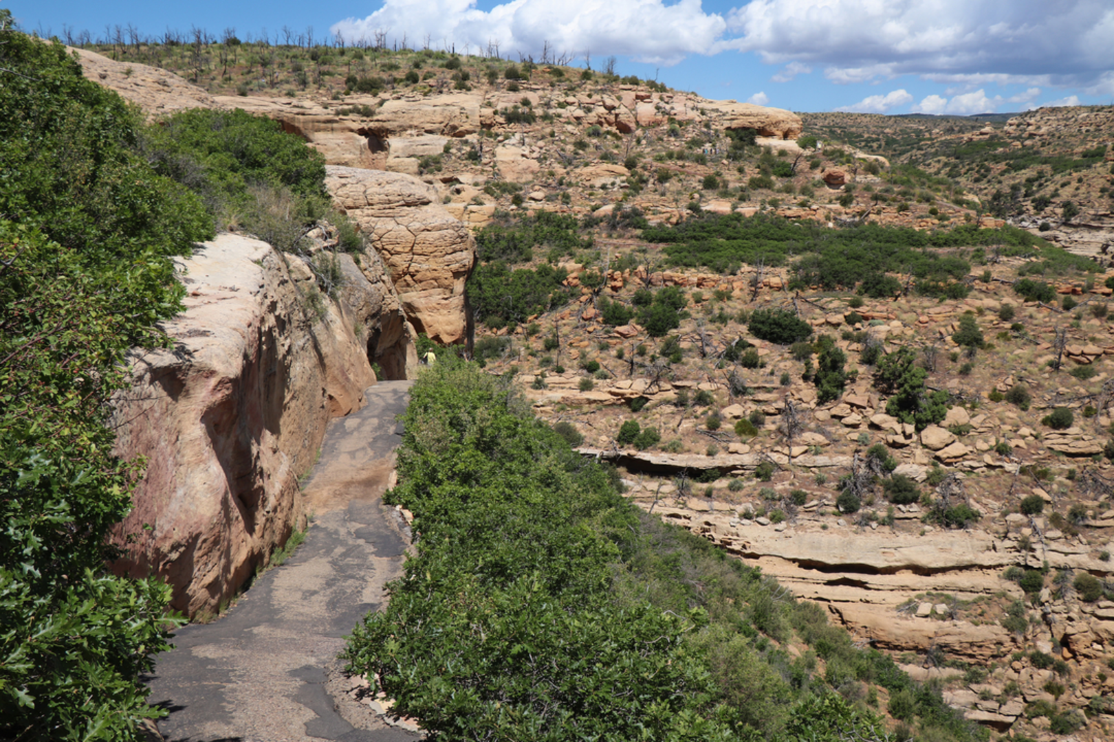 An image depicting the trail Badger House Community Trail and its surrounding area.