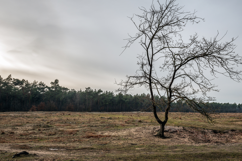 Boswachterij Leersum and Leersumsche Loop