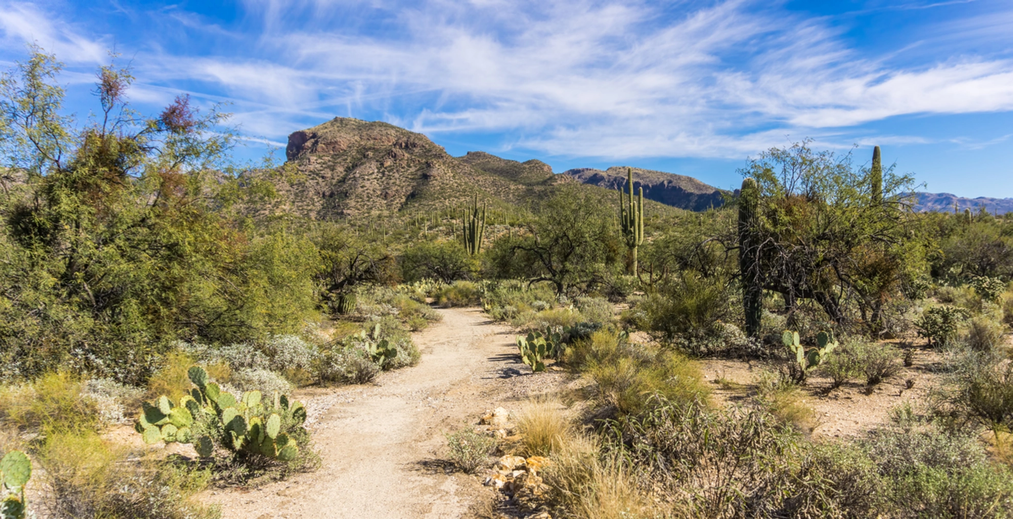 An image depicting the trail Phoneline Link Trail and its surrounding area.