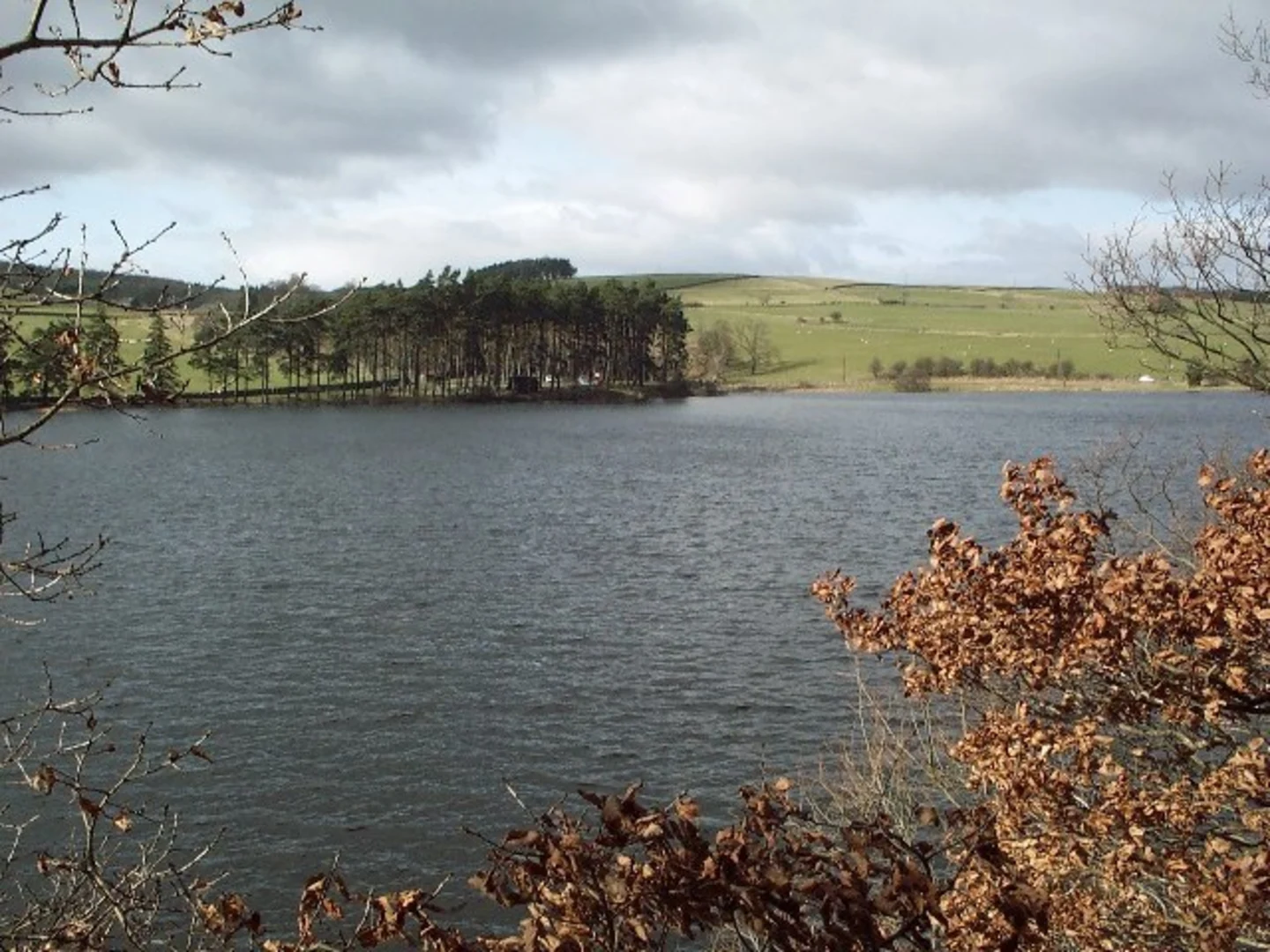 An image depicting the trail Tunstall Reservoir Loop and its surrounding area.