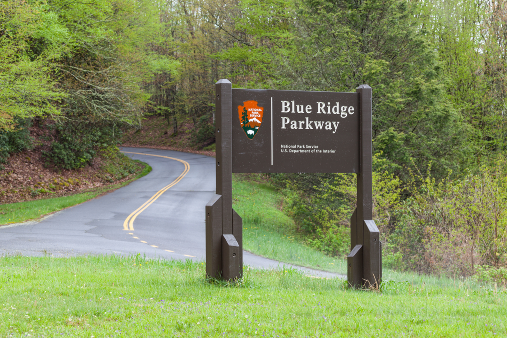 An image depicting the trail Woods Mountain Trail and its surrounding area.