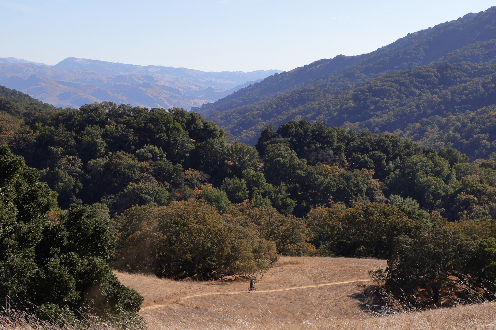 An image depicting the trail Courdet, North Ridge and Sinbad Creek Loop Trail and its surrounding area.