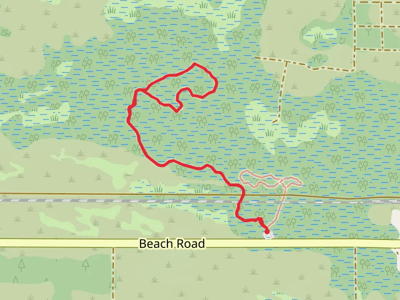 Palm Hammock Loop Trail
