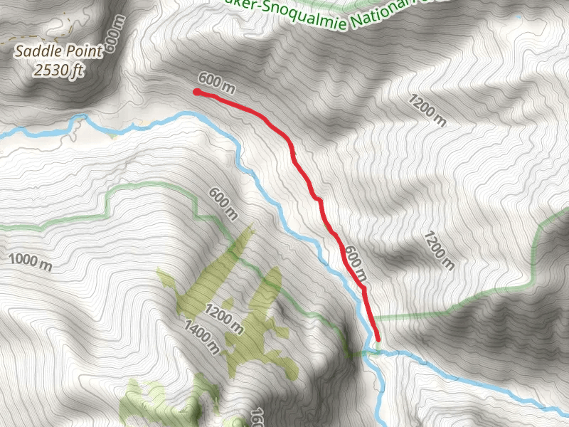 Cascade River Trail
